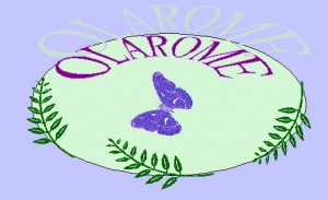 Logo Cosmeterre